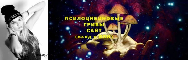 стаф Белокуриха