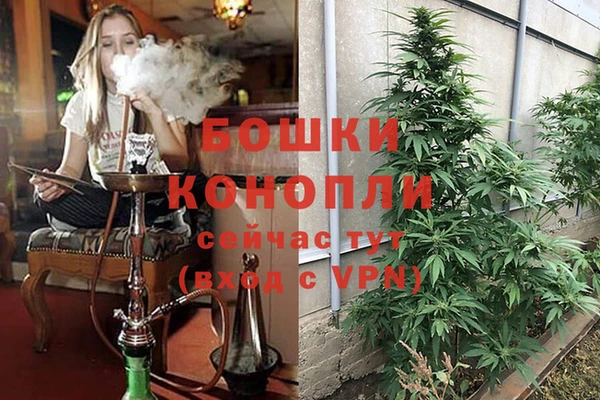 стаф Белокуриха