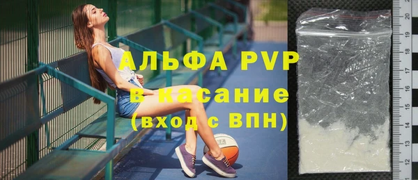 стаф Белокуриха