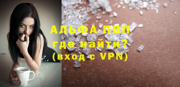 стаф Белокуриха