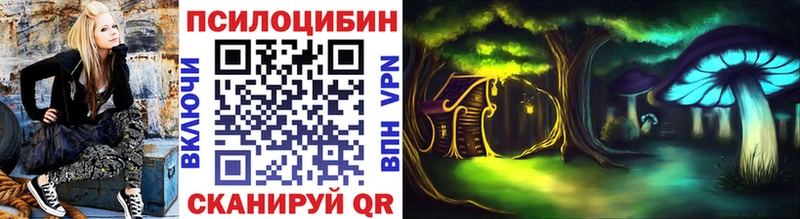 Псилоцибиновые грибы мицелий  наркошоп  Жуковка 