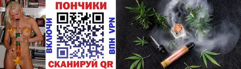 Канабис планчик  блэк спрут как войти  Жуковка 